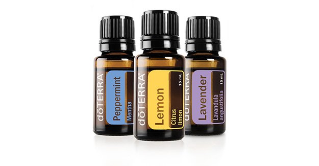 Beginner's Trio Kit